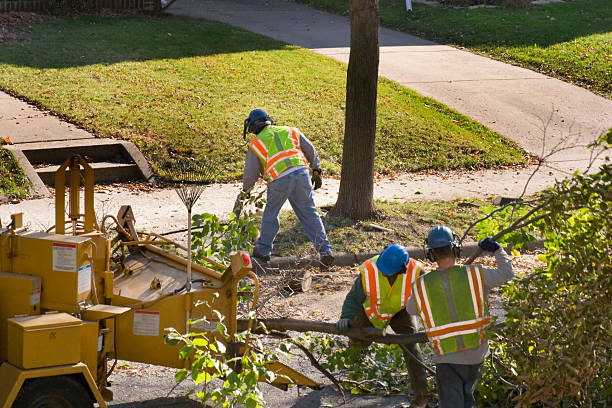 Hebron, PA Tree Services Company